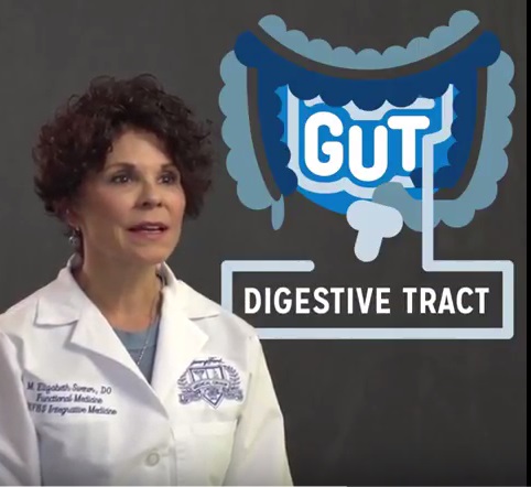 Gut Health 1
