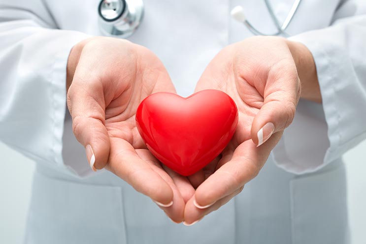 Physician hand holding heart