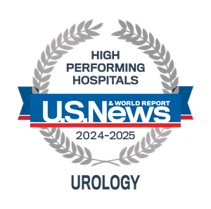 Urology_2024-2025