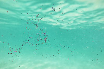 microplastics in ocean