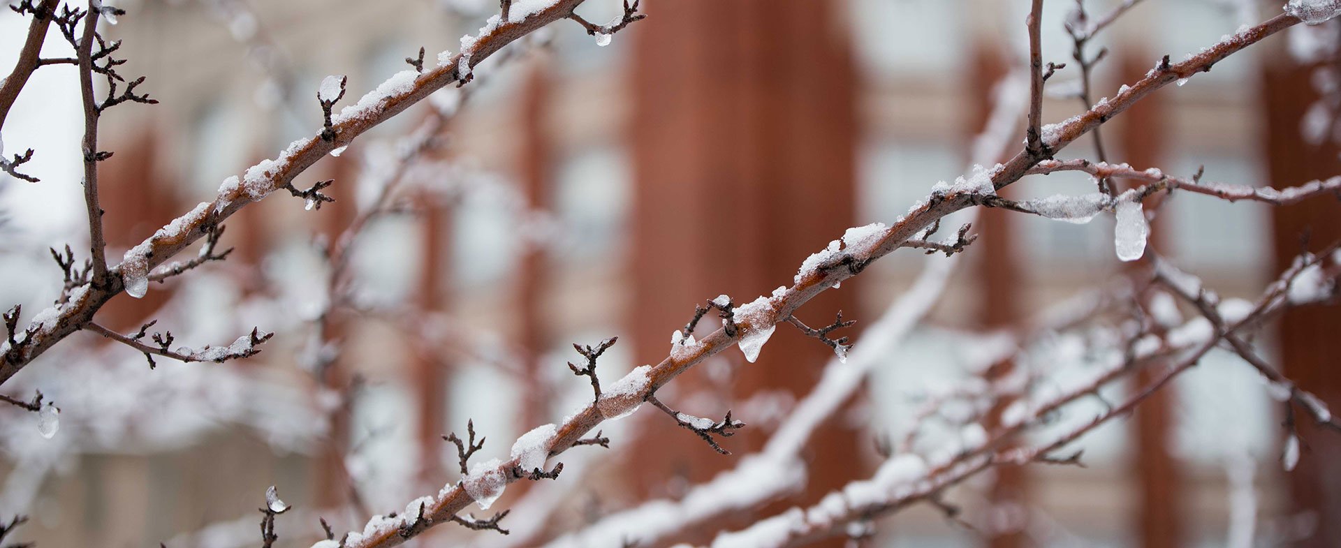 cold weather safety hfh