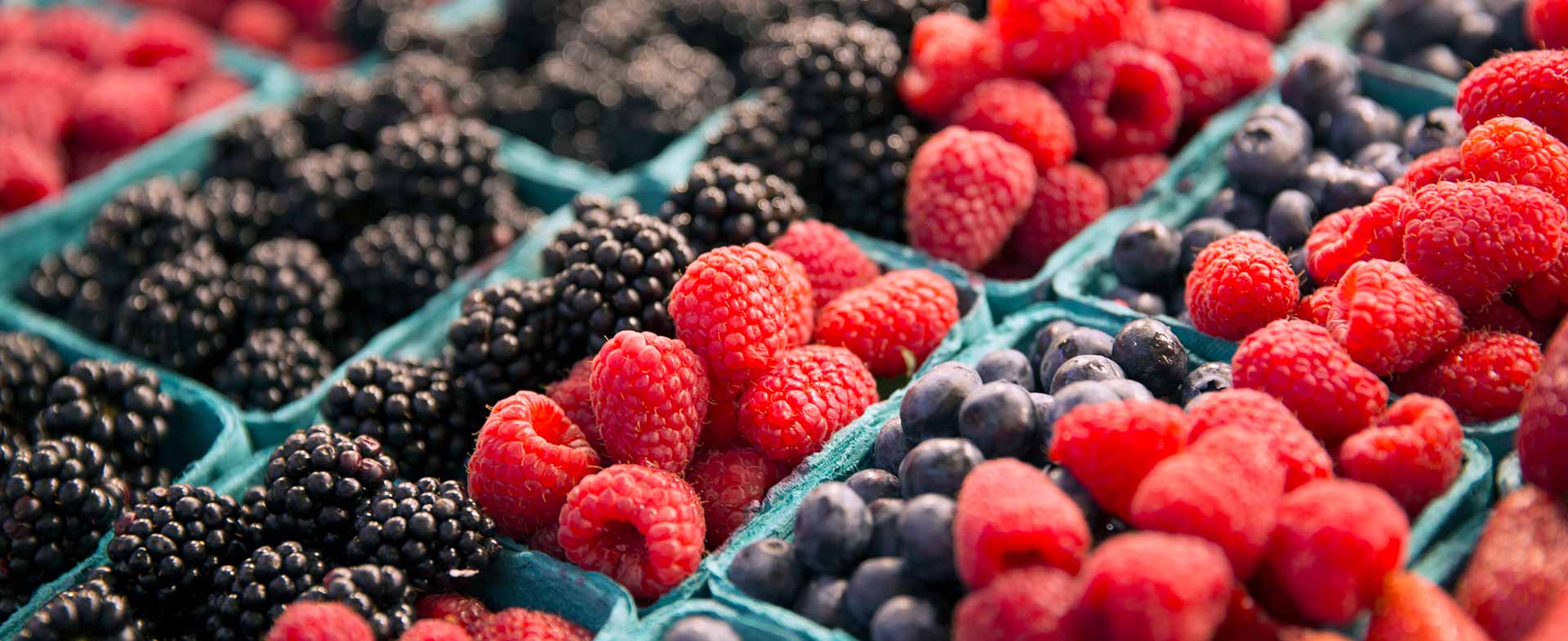 berries for fiber