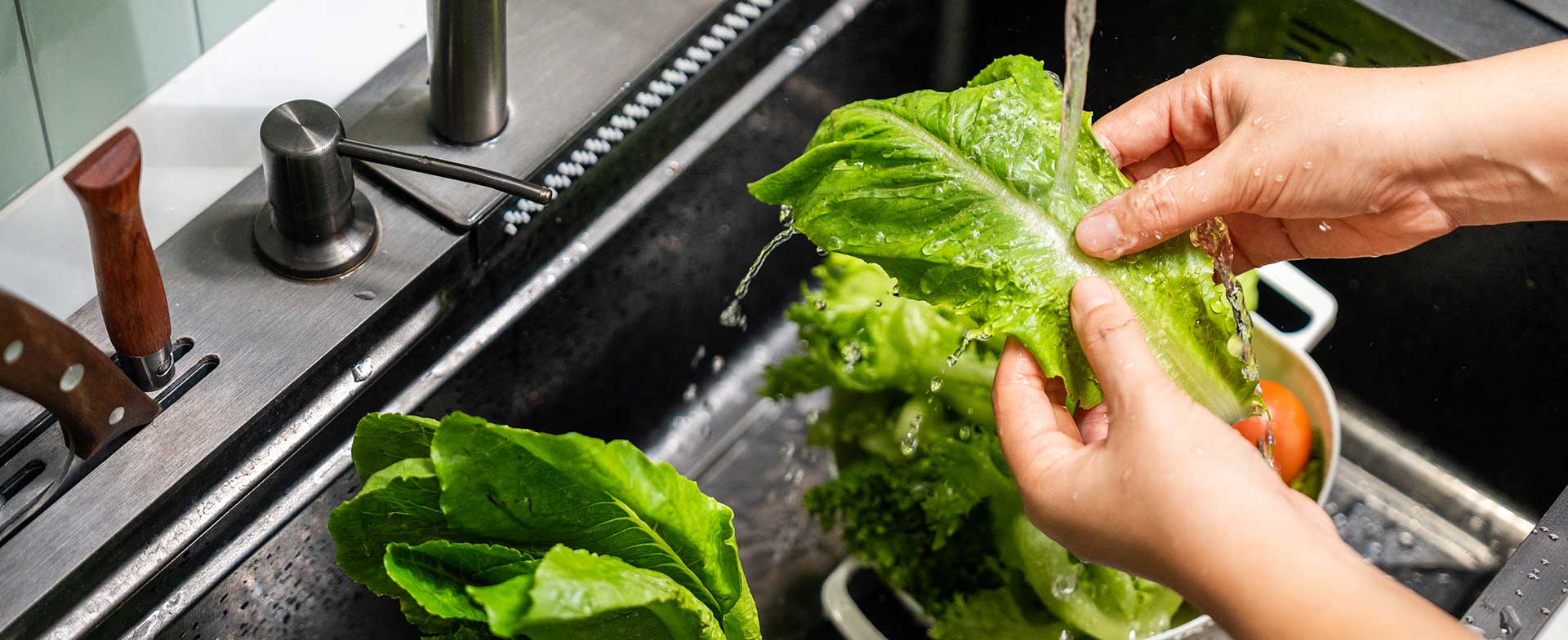 preventing foodborne illnesses