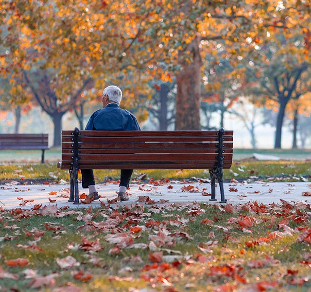 social connections and seniors