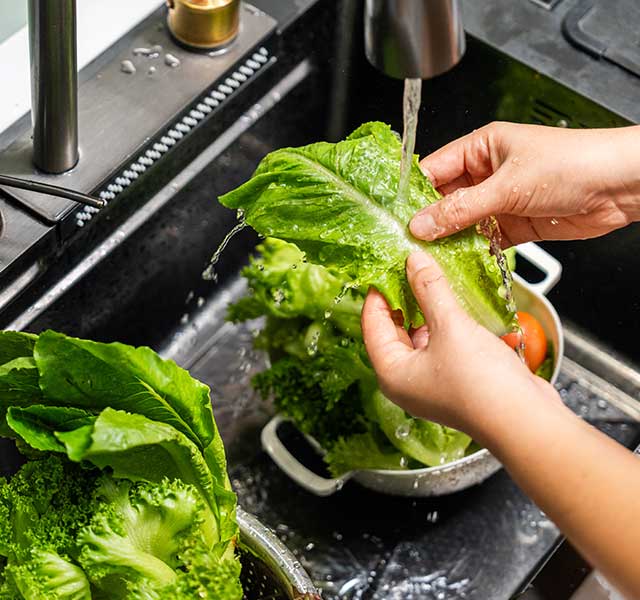 preventing foodborne illnesses