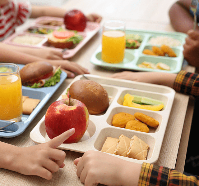 Close-up photo of school lunch tray, including an apple, cut up peppers and cucumbers, hamburger and chicken nuggets. school lunches