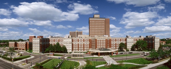 hf-detroit