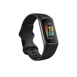 Fitbit device