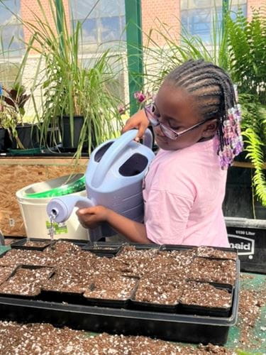 GROW Garden