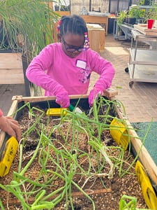 GROW Garden
